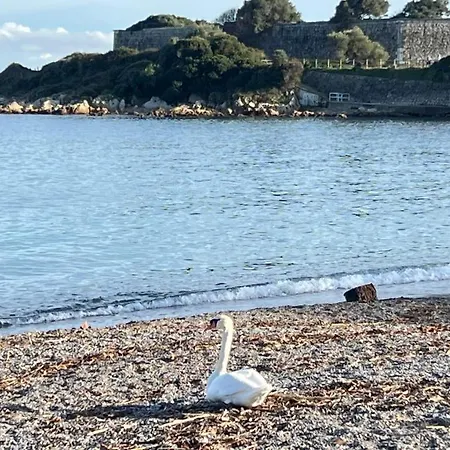 Studio 200m A Pieds Des Plages Appartement